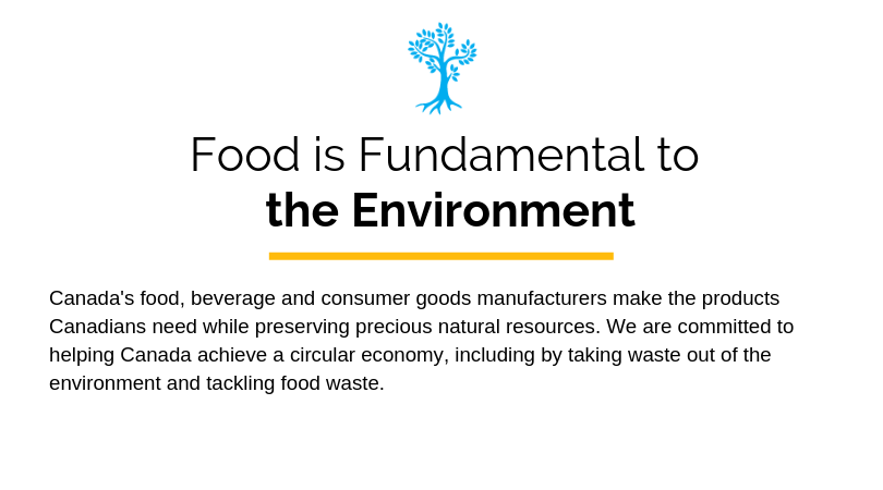 Food Is Fundamental to the Environment